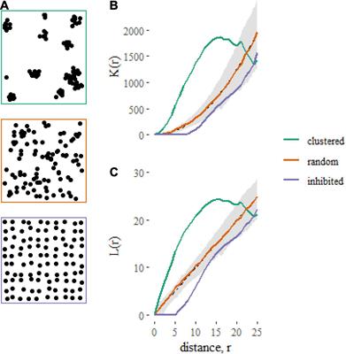 Replicated Spatial Point Pattern Analyses for Ecological Inference: A Tutorial Using the RSPPlme4 Package in R